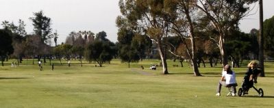 Jean waiting on 16th
